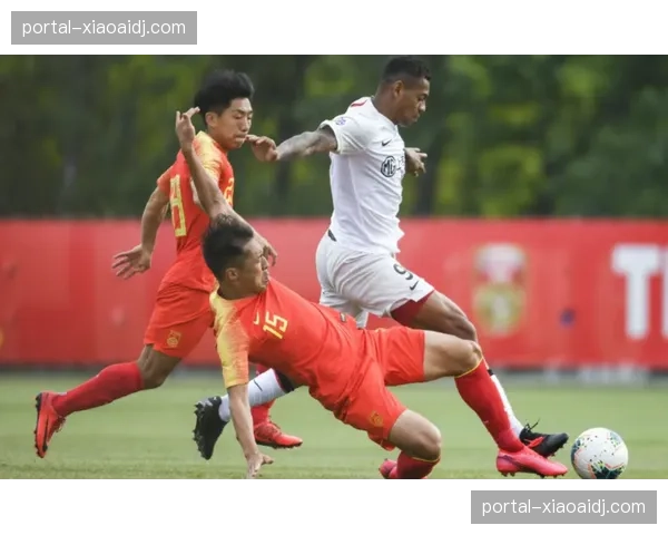 上海队四外援阵容深度惊人 攻防两端展现均衡实力